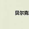 貝爾克朗尼小說（貝爾克朗尼）