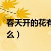 春天開(kāi)的花有什么最常見(jiàn)的（春天開(kāi)的花有什么）