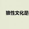 狼性文化是哪個(gè)公司開創(chuàng)的（狼性文化）