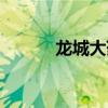 龍城大藥房地址（龍城大藥房）