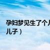 孕婦夢見生了個(gè)兒子是什么意思周公解夢（孕婦夢見生了個(gè)兒子）