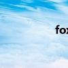 foxes怎么讀（foxes）