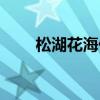 松湖花海什么時(shí)候有花（松湖花海）