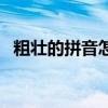 粗壯的拼音怎么讀音寫的呀(粗壯的拼音) 粗壯的拼音怎么讀音寫的呀(粗壯的拼音)