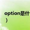 option是什么意思英語(yǔ)（option是什么意思）