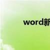 word新羅馬字體（新羅馬字體）