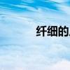 纖細(xì)的反義詞（成熟的反義詞）