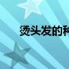 燙頭發(fā)的種類有哪些（燙頭發(fā)的種類）