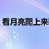 看月亮爬上來歌詞圖片（看月亮爬上來歌詞）