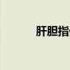 肝膽指什么代稱（肝膽指什么）