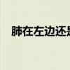 肺在左邊還是右邊?（肺在左邊還是右邊）