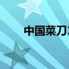 中國菜刀10大品牌排行（中國菜刀）