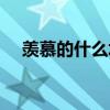 羨慕的什么填空名詞（羨慕的什么填空）