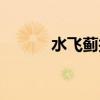 水飛薊護肝功效與作用(水飛) 水飛薊護肝功效與作用(水飛)