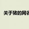 關(guān)于豬的網(wǎng)名可愛(ài)三個(gè)字（關(guān)于豬的網(wǎng)名）