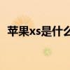 蘋果xs是什么處理器(蘋果xsmax處理器) 蘋果xs是什么處理器(蘋果xsmax處理器)