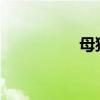 母貓叫春一般幾天結(jié)束