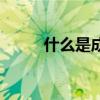 什么是成語(yǔ)的定義（什么是成語(yǔ)）