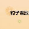 豹子雪地腳?。ㄑ┍哪_印象什么）