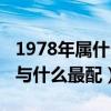 1978年屬什么和屬什么配（1978年的屬什么與什么最配）