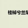 桂棹兮蘭槳的棹怎么讀（桂棹兮蘭槳）