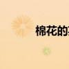 棉花的英文單詞（棉花的英文）