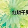 紅燒干貝怎么做好吃（紅燒干貝）