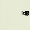 it服務(wù)包括什么（it服務(wù)）