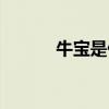 牛寶是什么部位（牛寶是什么）