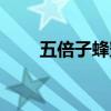五倍子蜂蜜結(jié)晶圖片（五倍子蜂蜜）