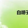 白胡子震震果實(shí)（震震果實(shí)）