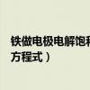 鐵做電極電解飽和食鹽水離子方程式（電解飽和食鹽水離子方程式）