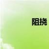 阻撓 的拼音(阻撓的拼音) 阻撓 的拼音(阻撓的拼音)