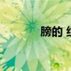 膀的 組詞（膀的組詞是什么）
