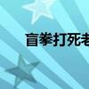 盲拳打死老師傅的意思（師傅的意思）