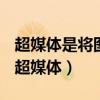 超媒體是將圖像聲音等信息嵌入文本的技術(shù)（超媒體）