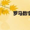 羅馬數(shù)字六怎么打（羅馬數(shù)字六）