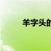 羊字頭的字有哪些（戶字頭的字）