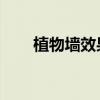 植物墻效果圖 怎么做（植物墻做法）
