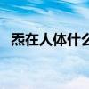 炁在人體什么位置（先天一炁是什么意思）