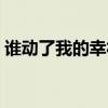 誰(shuí)動(dòng)了我的幸福小說(shuō)何葉（誰(shuí)動(dòng)了我的幸福）