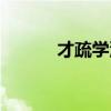 才疏學(xué)淺意思解釋（才疏學(xué)淺）