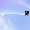 駱駝驛站（駱驛系統(tǒng)）