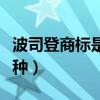波司登商標(biāo)是什么樣的(波司登商標(biāo)圖片有幾種) 波司登商標(biāo)是什么樣的(波司登商標(biāo)圖片有幾種)