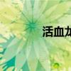 活血龍泡水喝功效（活血龍）