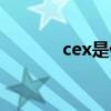 cex是什么縮寫（cex是什么）