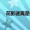 花影迷離是什么意思（迷離是什么意思）