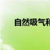 自然吸氣和渦輪增壓（廢氣渦輪增壓）
