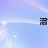 沼氣發(fā)電機(jī)組（沼氣）