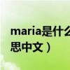 maria是什么意思中文翻譯（maria是什么意思中文）